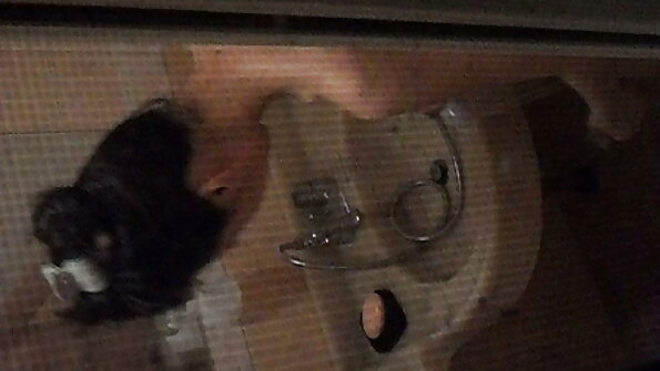 الكلبة الساخنة سكس عالمي مدبلج مع الثدي الطبيعية هو الحصول على ديك كبيرة في بوسها الرطب